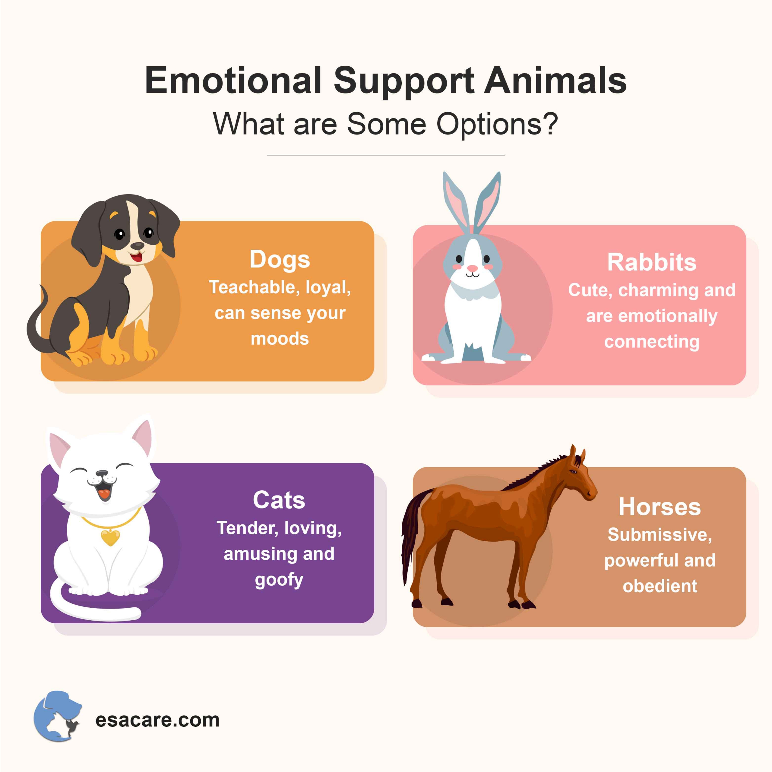 Emotional support animals