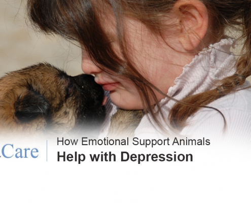 Emotional support animals depression