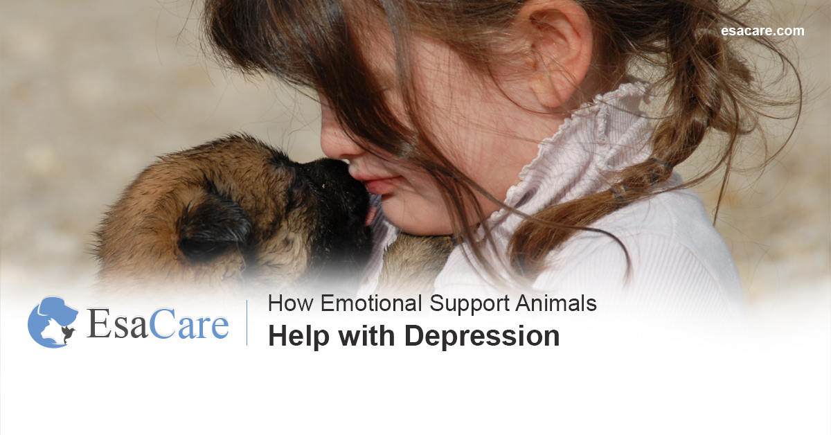 Emotional support animals depression