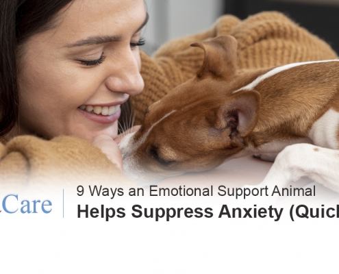 Emotional support animal anxiety