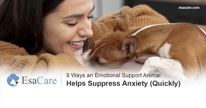 Emotional support animals for anxiety Emotional support animal anxiety