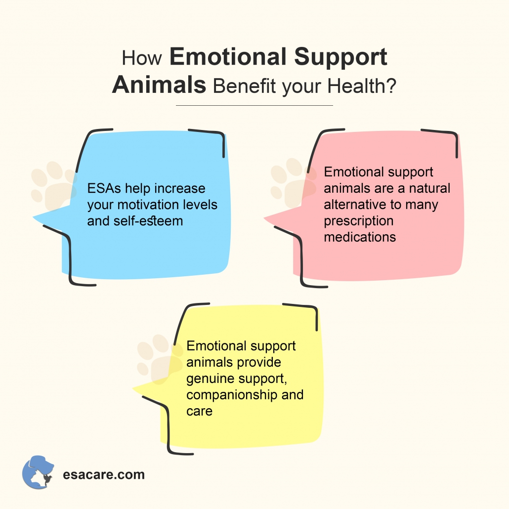 5 Benefits Of Emotional Support Animals ESAs ESA Care