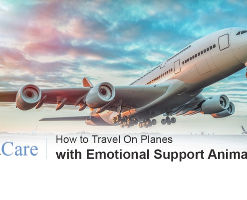 Emotional support animals on planes