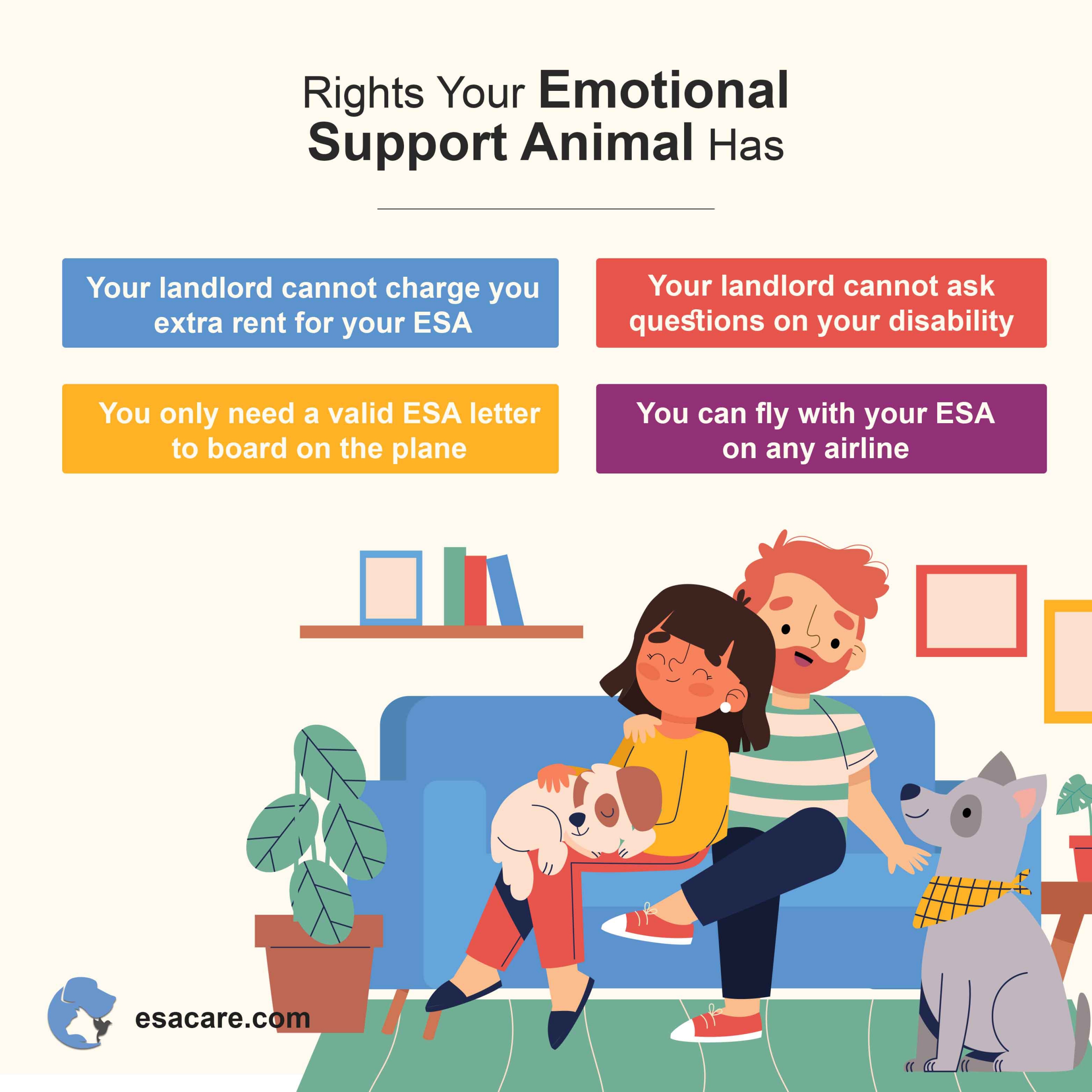 Adopting An Emotional Support Animal ESA The Ultimate Guide ESA Care