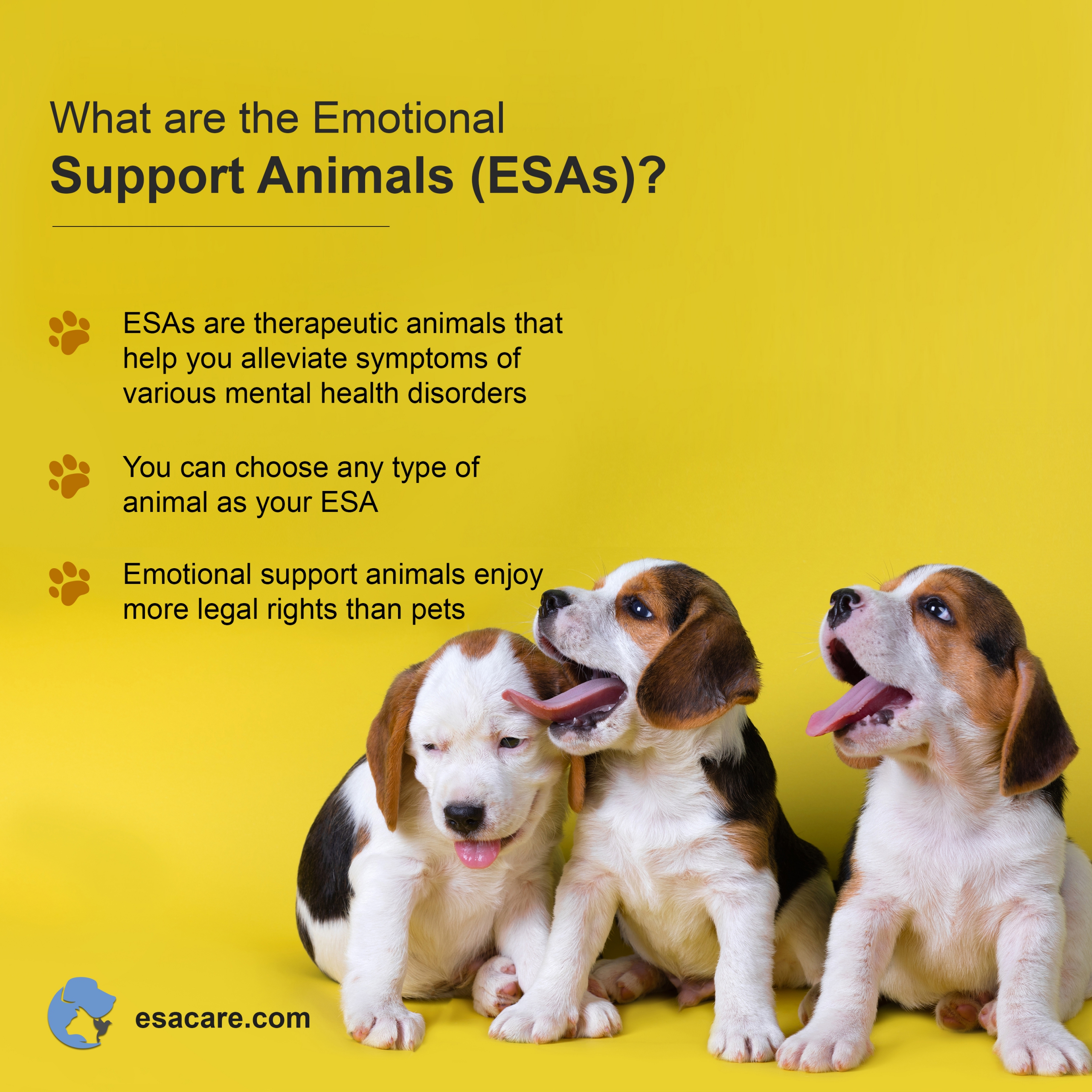 5 Benefits of Emotional Support Animals (ESAs) ESA Care