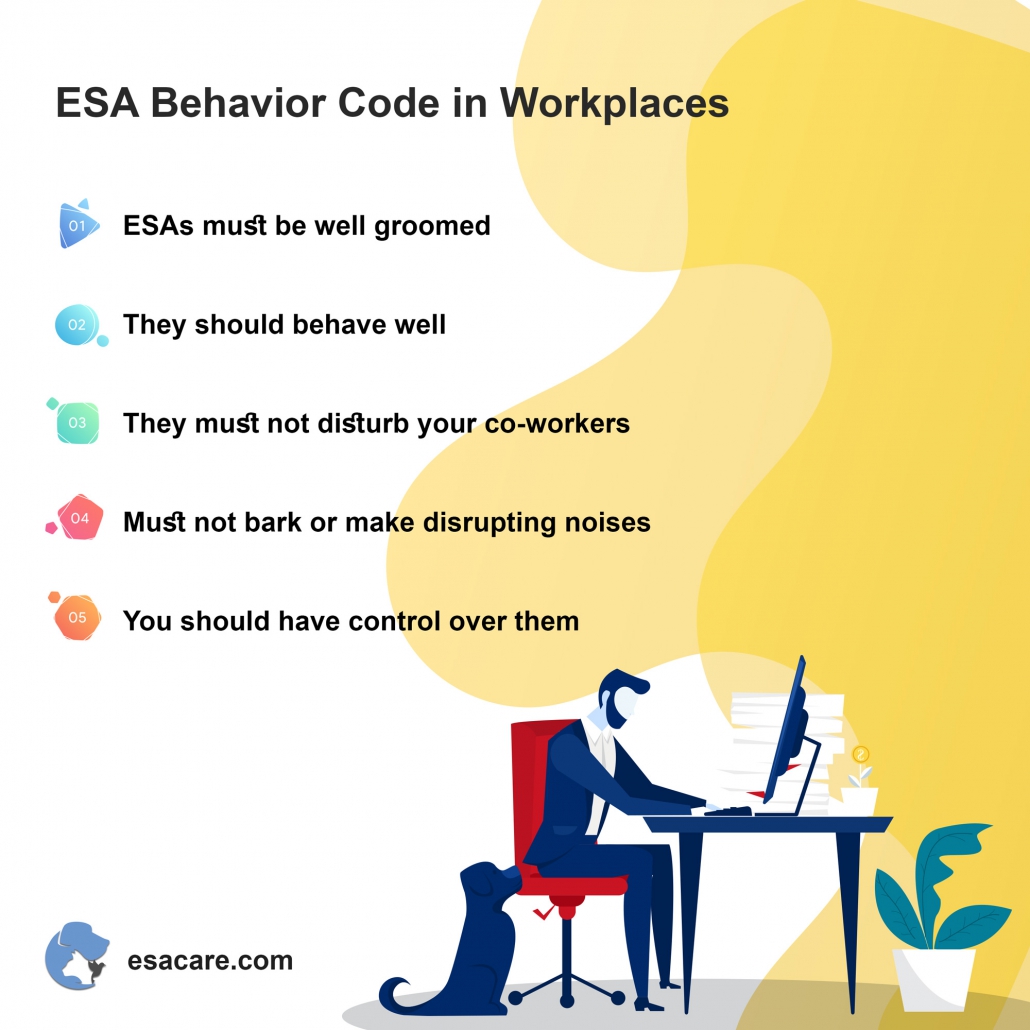 Esa Problems Are Emotional Support Animals Allowed In Workplaces? - ESA Care