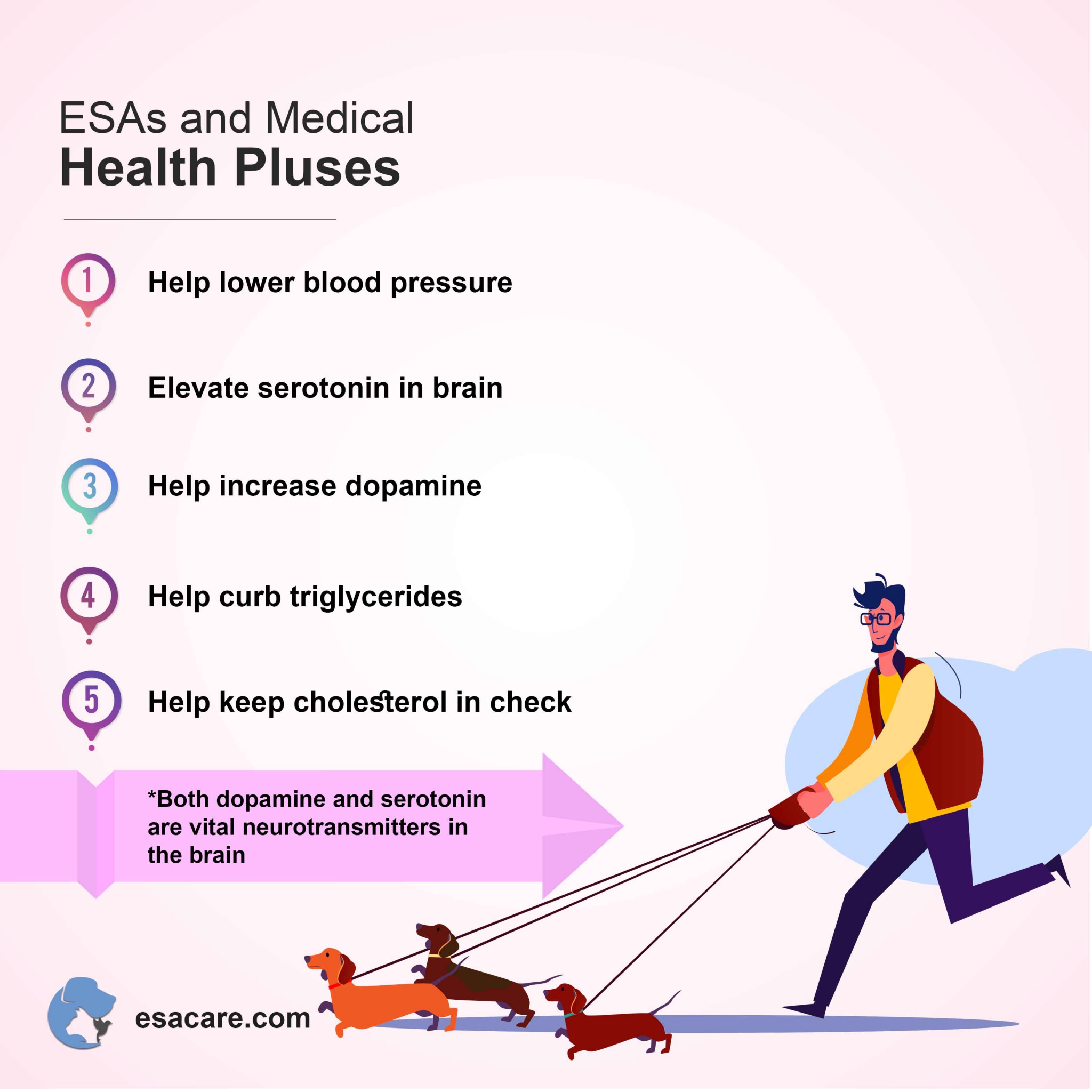 Emotional support animals health benefits