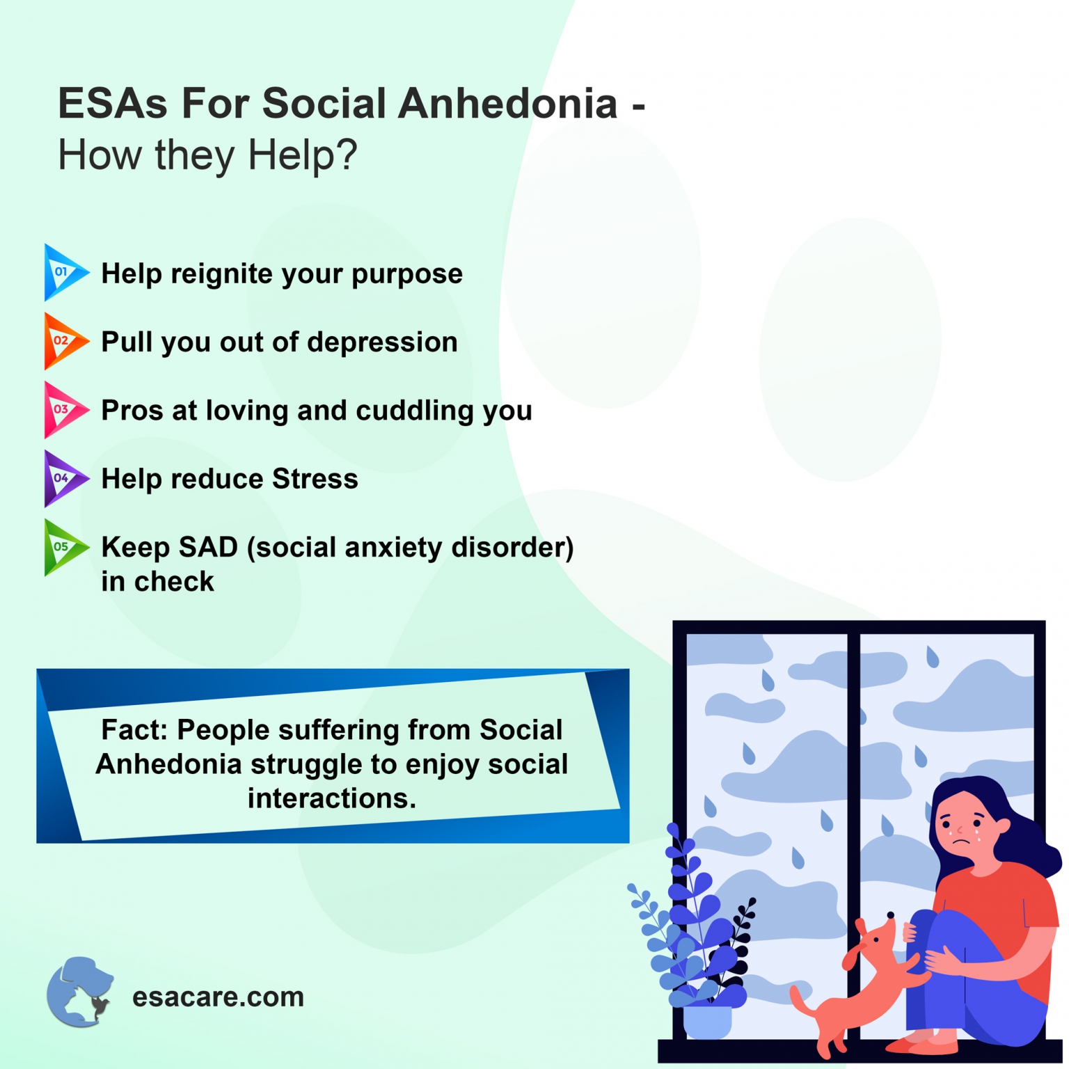 Getting an ESA Will Help You Deal with Mental Hassles - ESA Care