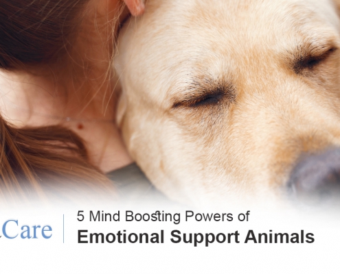 Emotional support animals mental health