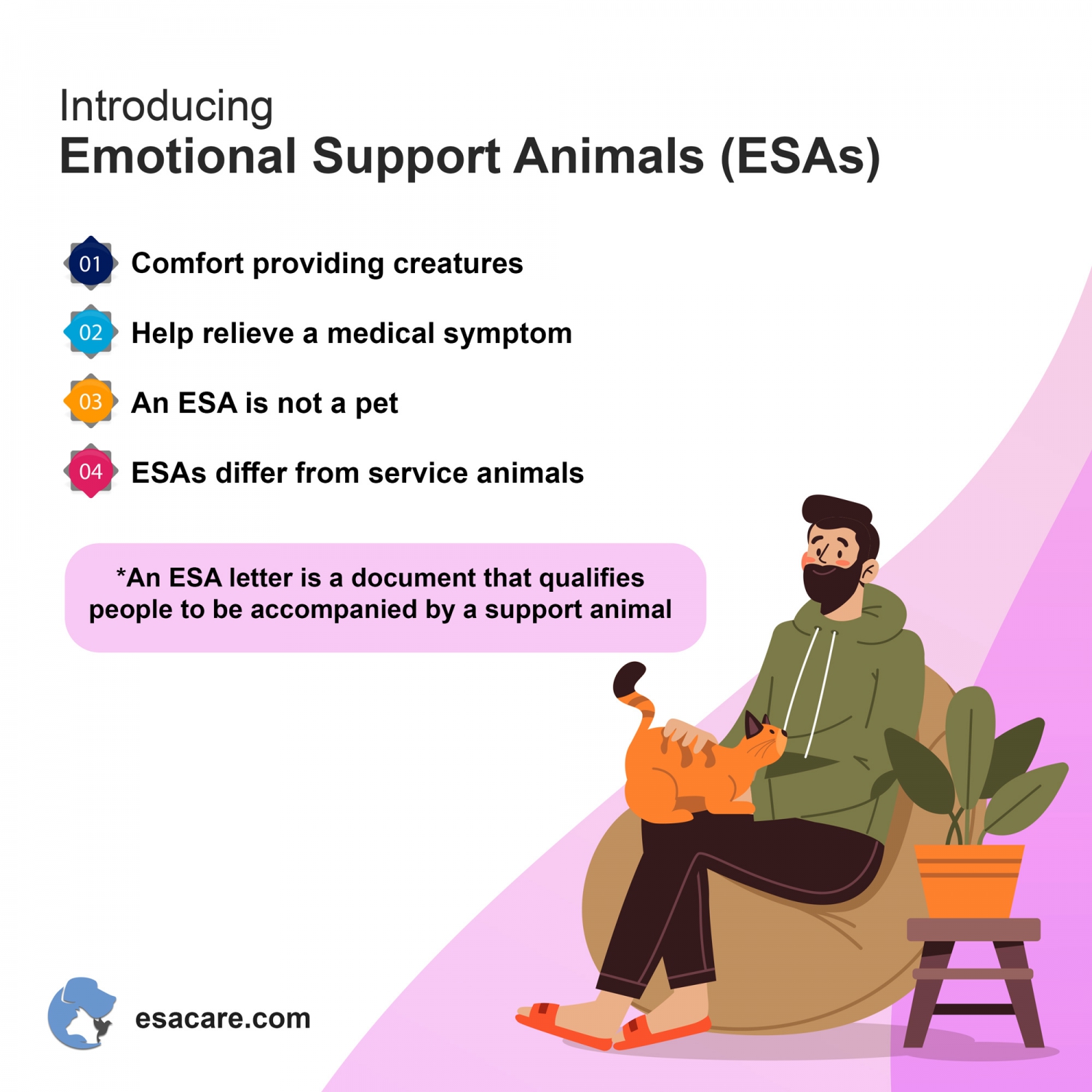 5-mind-boosting-powers-of-emotional-support-animals-esa-care