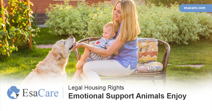 ESA housing rights ESA housing laws