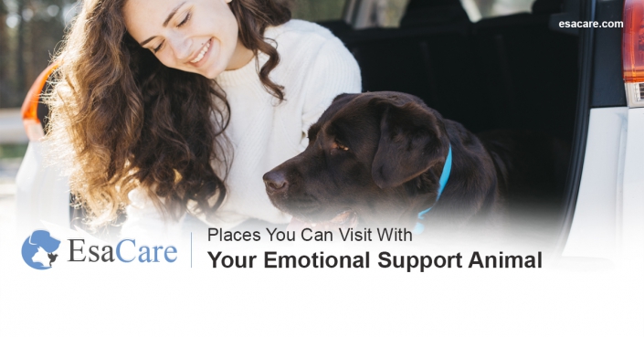 ESA places to visit Emotional support animals places to visit