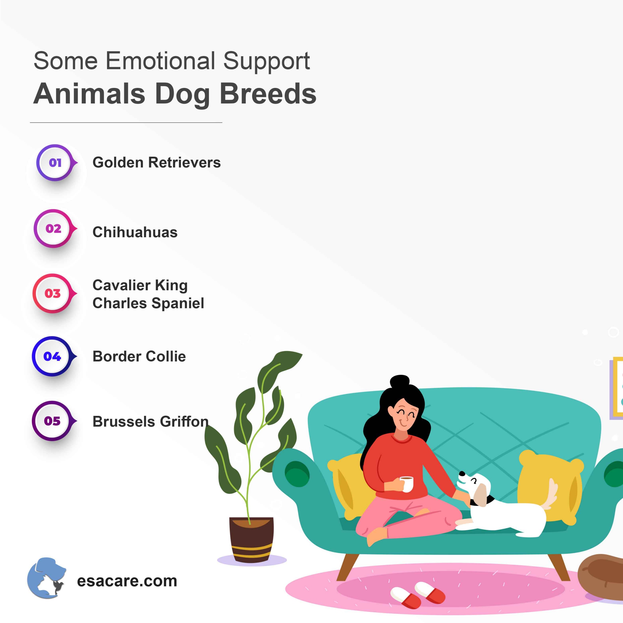 Emotional support animals dog breeds