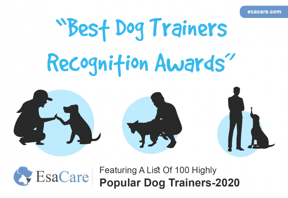 Best Dog Trainers