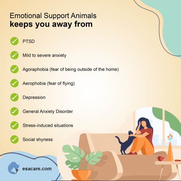 Daily Routine of Owners with their ESA Pet ESA Care