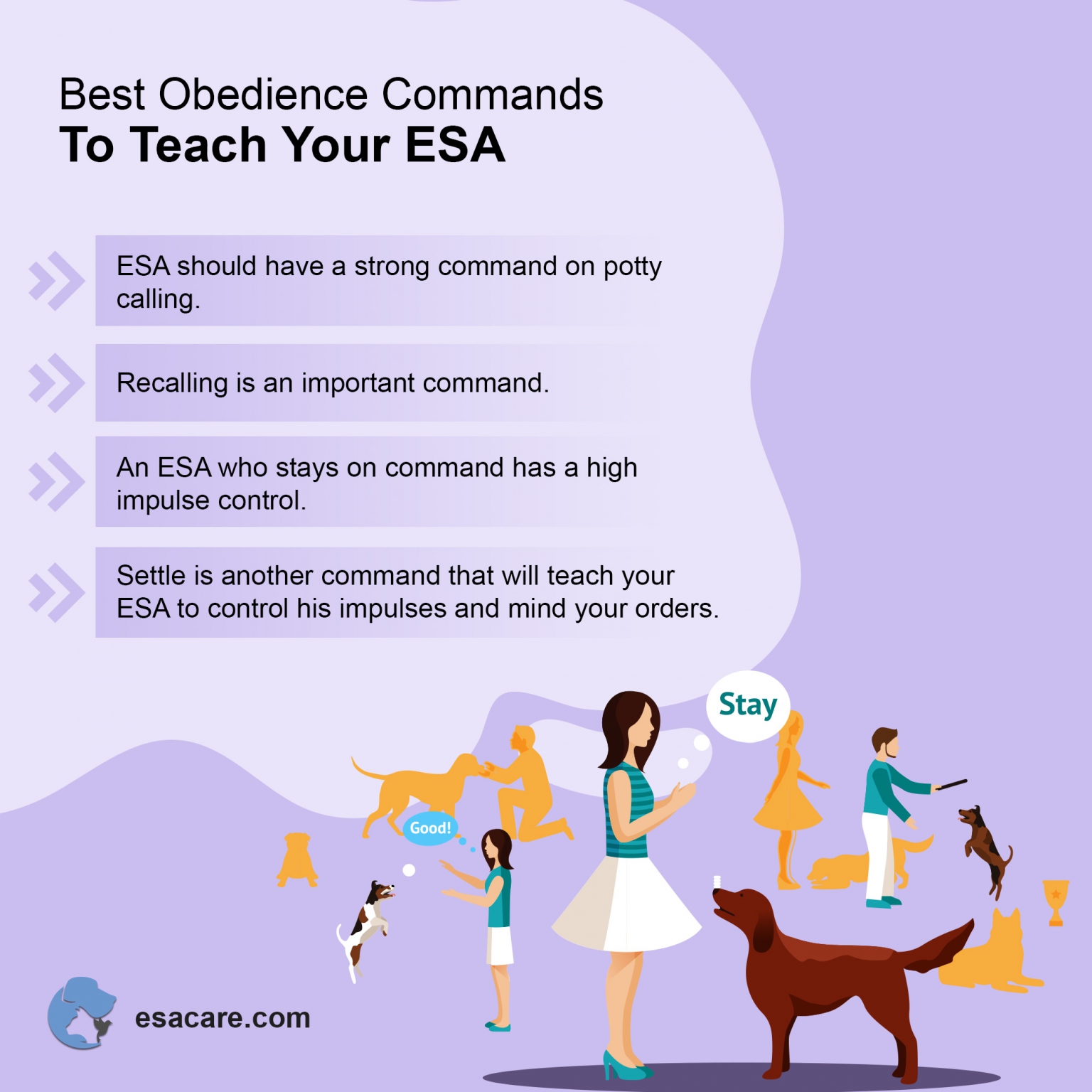 Fun Activities To Do with Your ESA Pet ESA Care