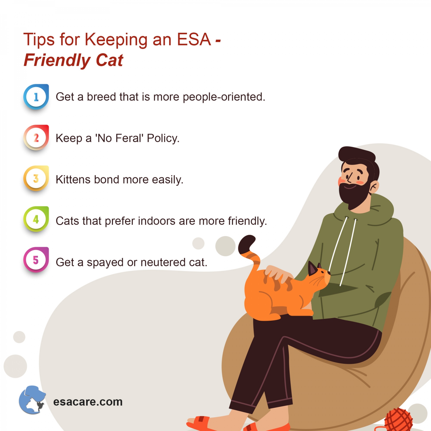 7 Ways Your ESA Cat Can Quickly Boost Your Quality of Life ESA Care