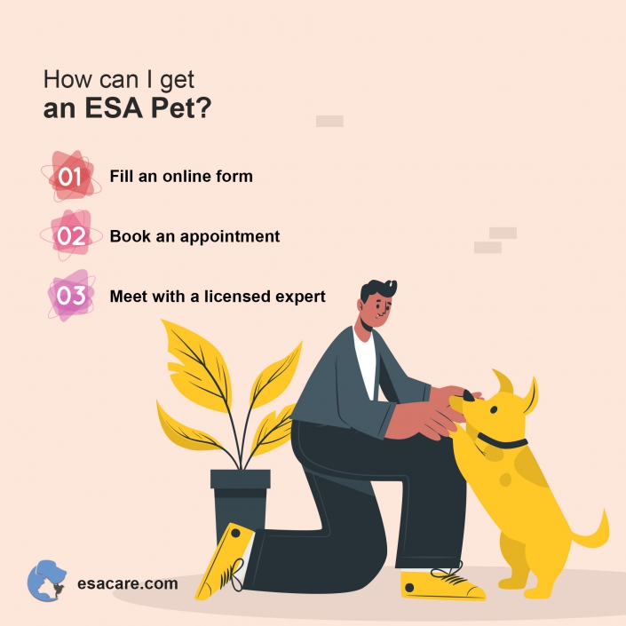 The Best Emotional Support Dog Breeds ESA Care