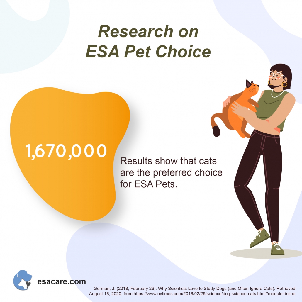 7 Ways Your ESA Cat Can Quickly Boost Your Quality of Life ESA Care