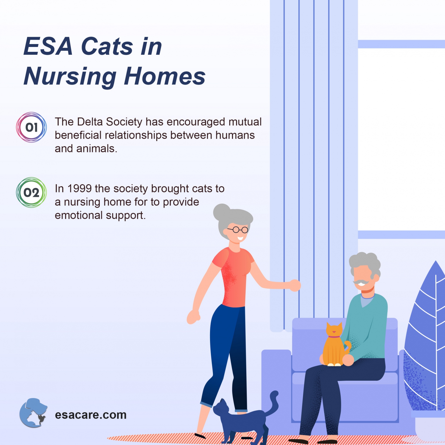7 Ways Your ESA Cat Can Quickly Boost Your Quality of Life ESA Care