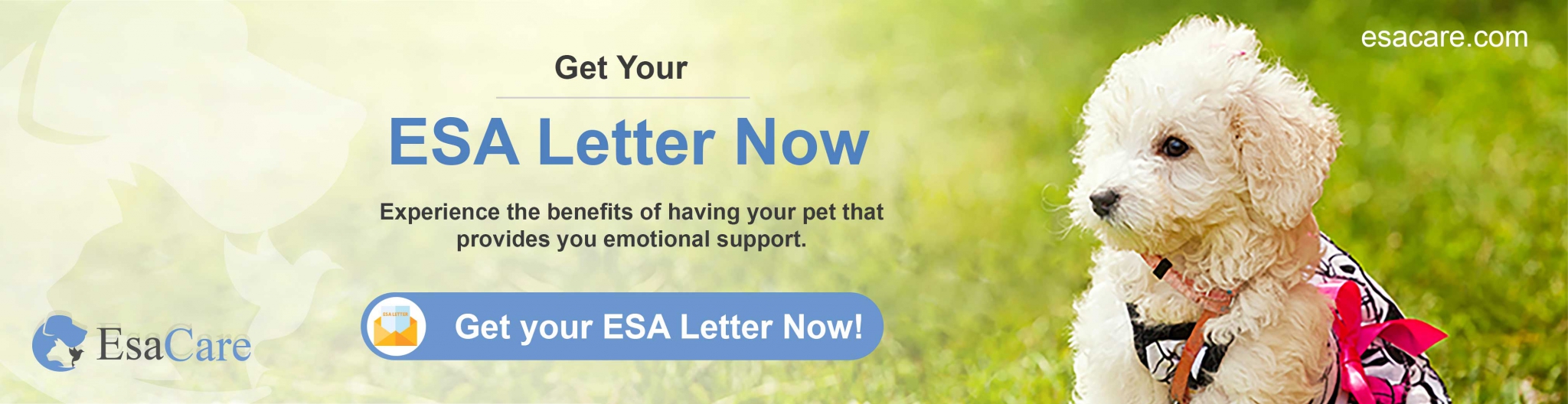 Get your ESA letter now