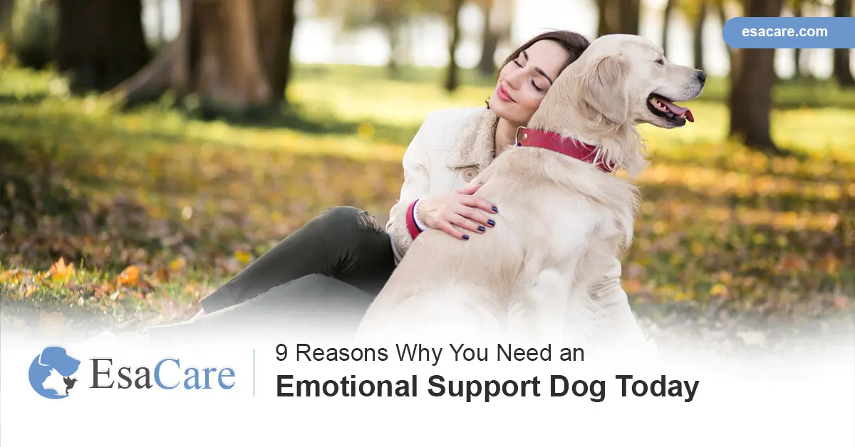 who needs an emotional support dog