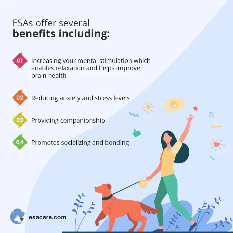 what-are-the-benefits-of-having-an-emotional-support-dog