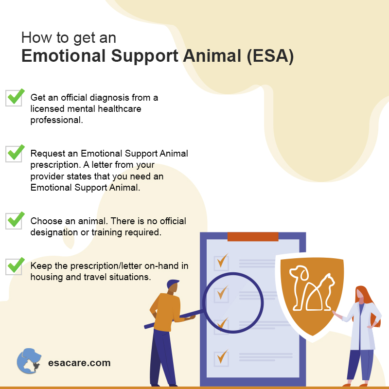 Treating Eating Disorders With ESA Pets - ESA Care