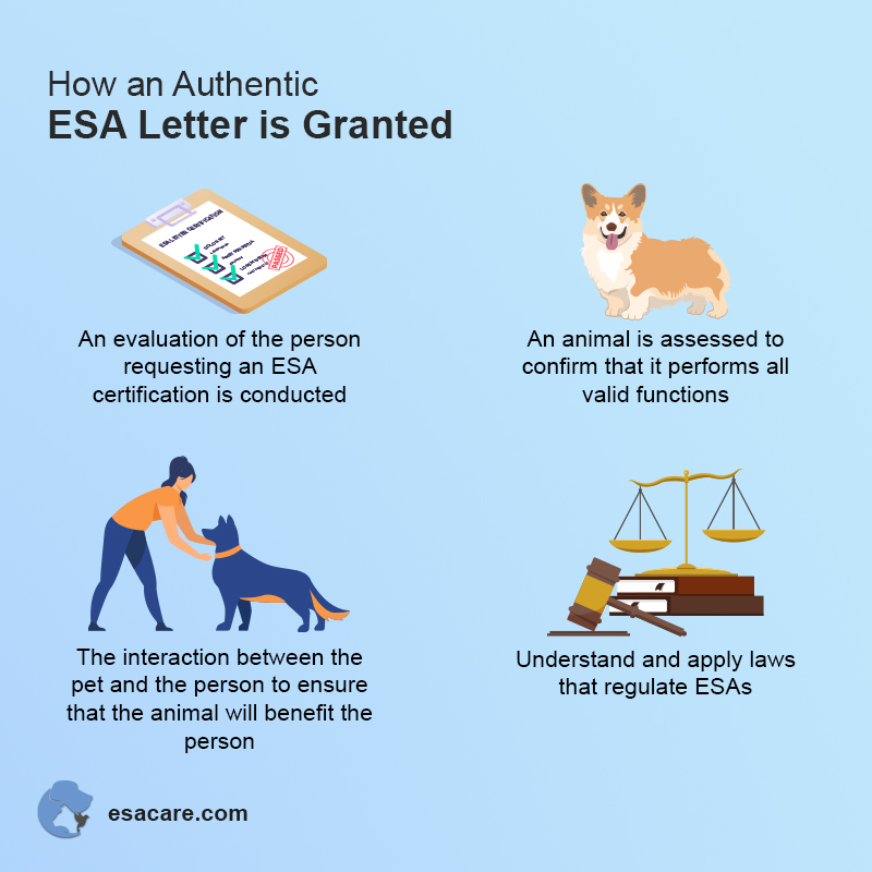 How To Ask A Doctor For An Emotional Support Animal Letter ESA Doctors |  