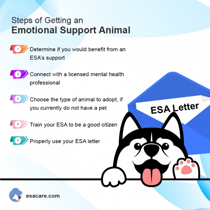 7 Healthcare Experts Who Can Write an ESA Letter - ESA Care