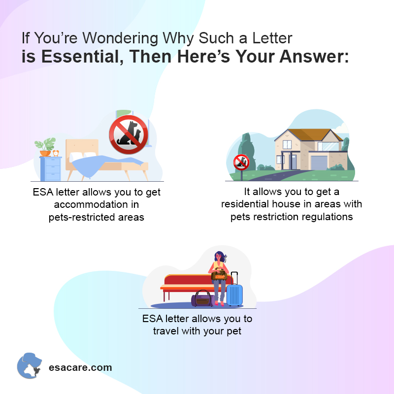 7 Healthcare Experts Who Can Write an ESA Letter - ESA Care