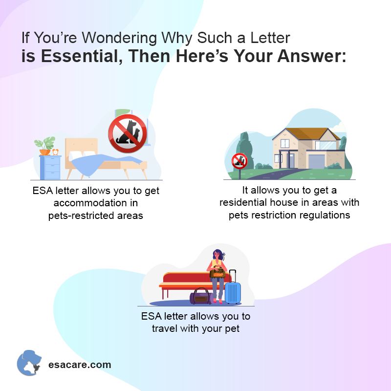 Can A Counselor Write An Esa Letter