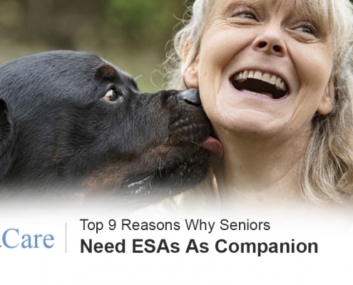 ESA Pet for Seniors