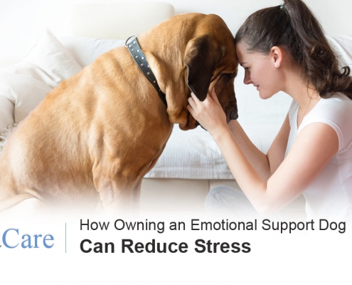 ESA Pet and Stress