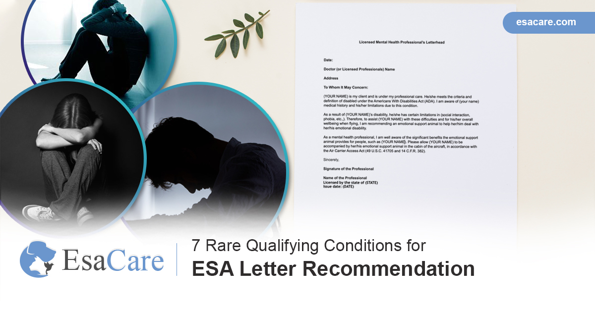 7 Rare Qualifying Conditions for ESA Letter Recommendation - ESA Care