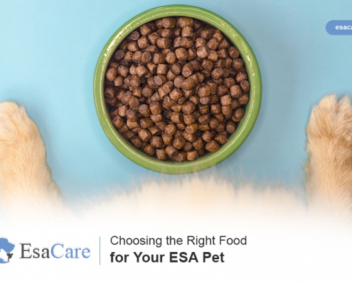 Right Food ESA Pet