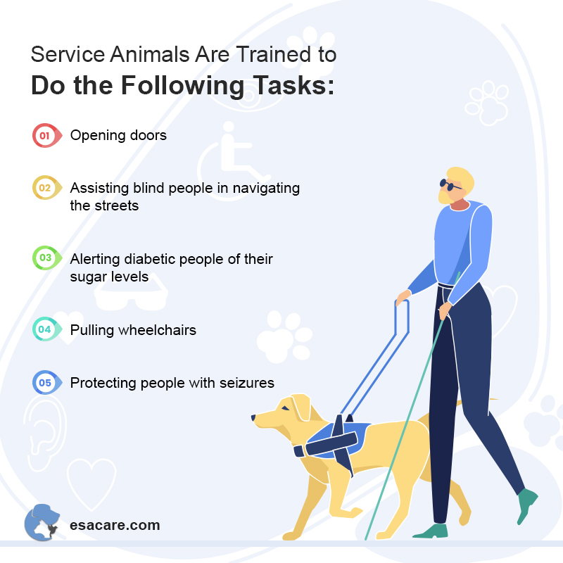 Service Animals