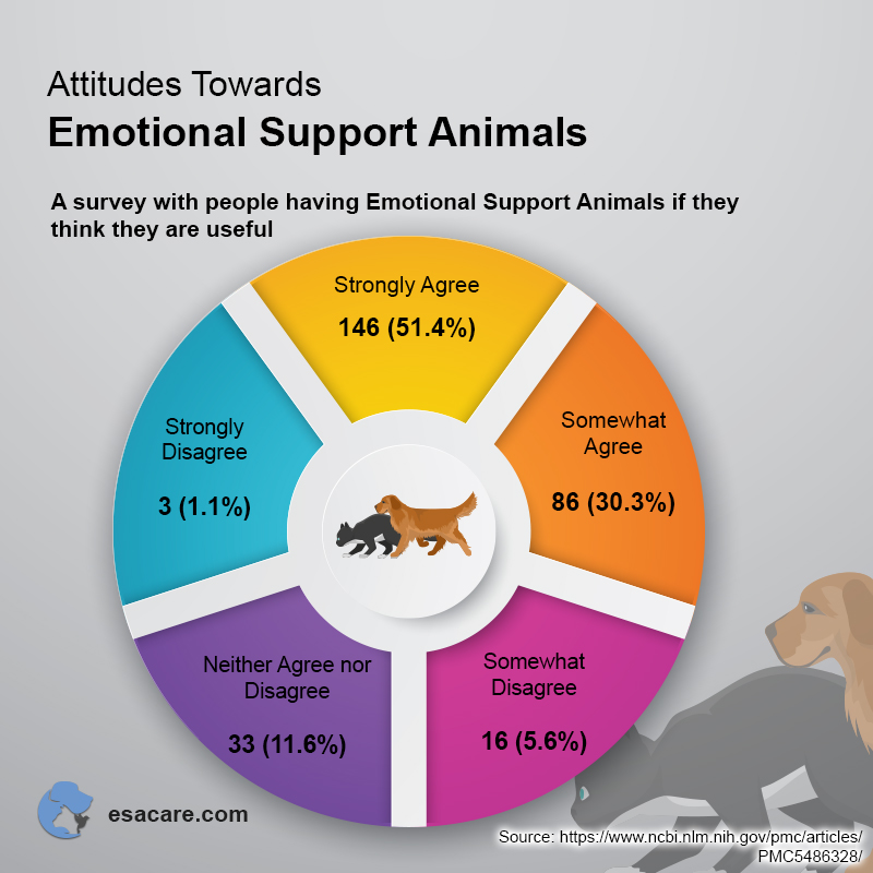 Are Emotional Support Animals Different from Pets? - ESA Care