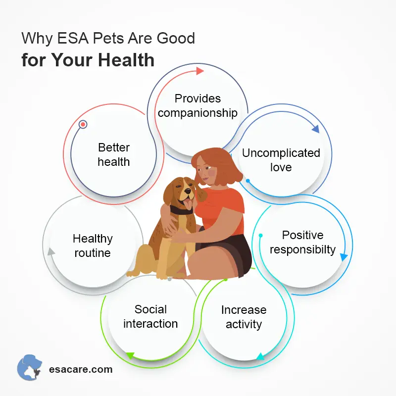 Are Emotional Support Dogs Allowed In Public Places