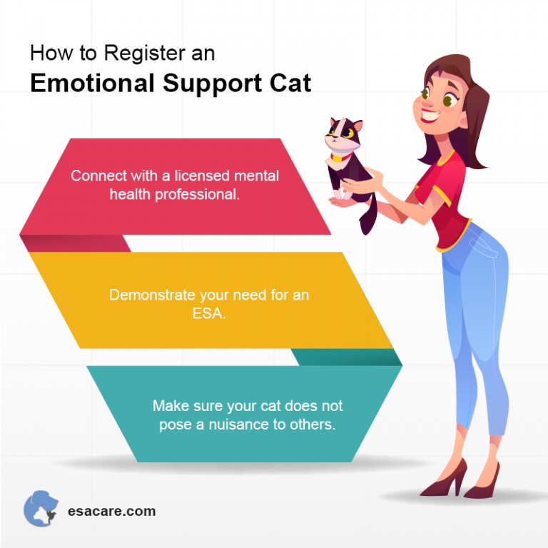 These 7 Cat Breeds Make The Best Emotional Support Animals ESA Care