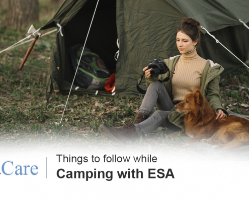 Camping with ESA