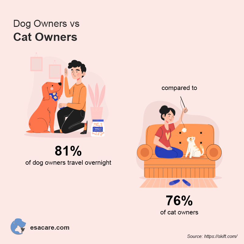 Dog vs Cats