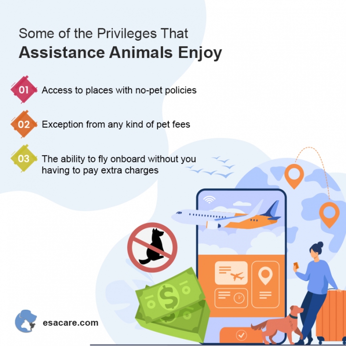 5 Reasons a Landlord Can Deny an Emotional Support Animal ESA Care