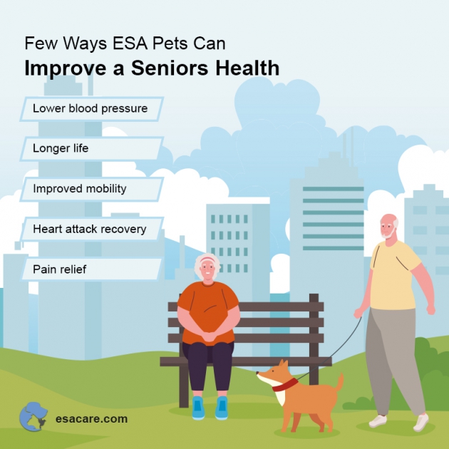 The Best ESA Dog Breeds For Seniors ESA Care
