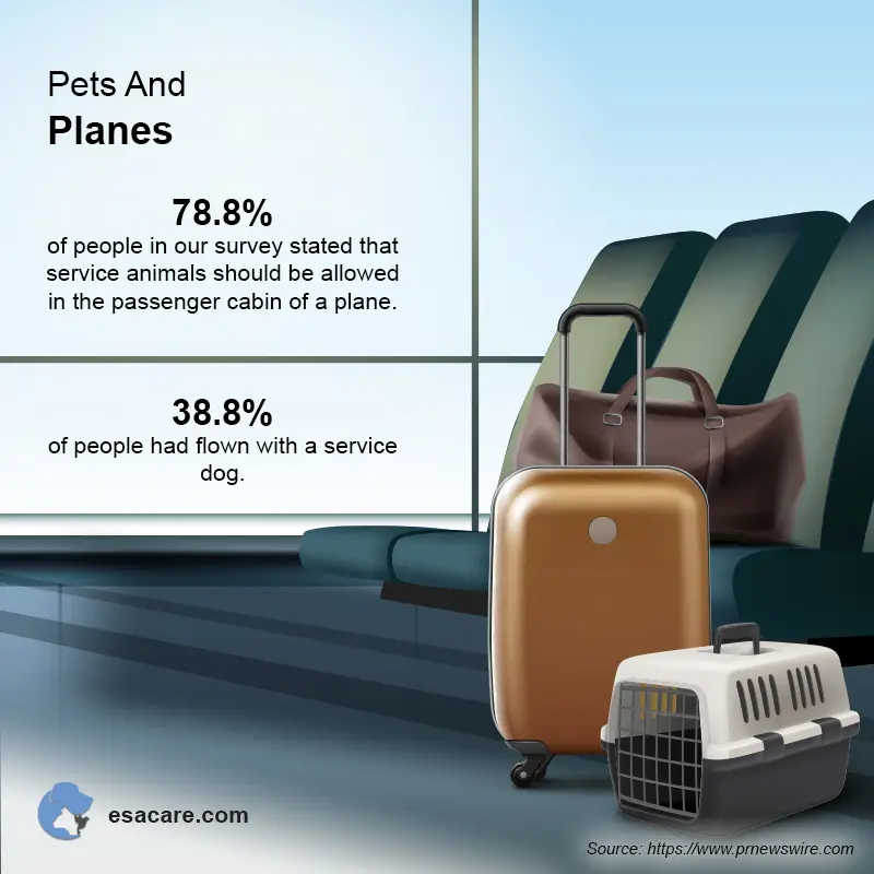 Jetblue flying with hot sale emotional support animal