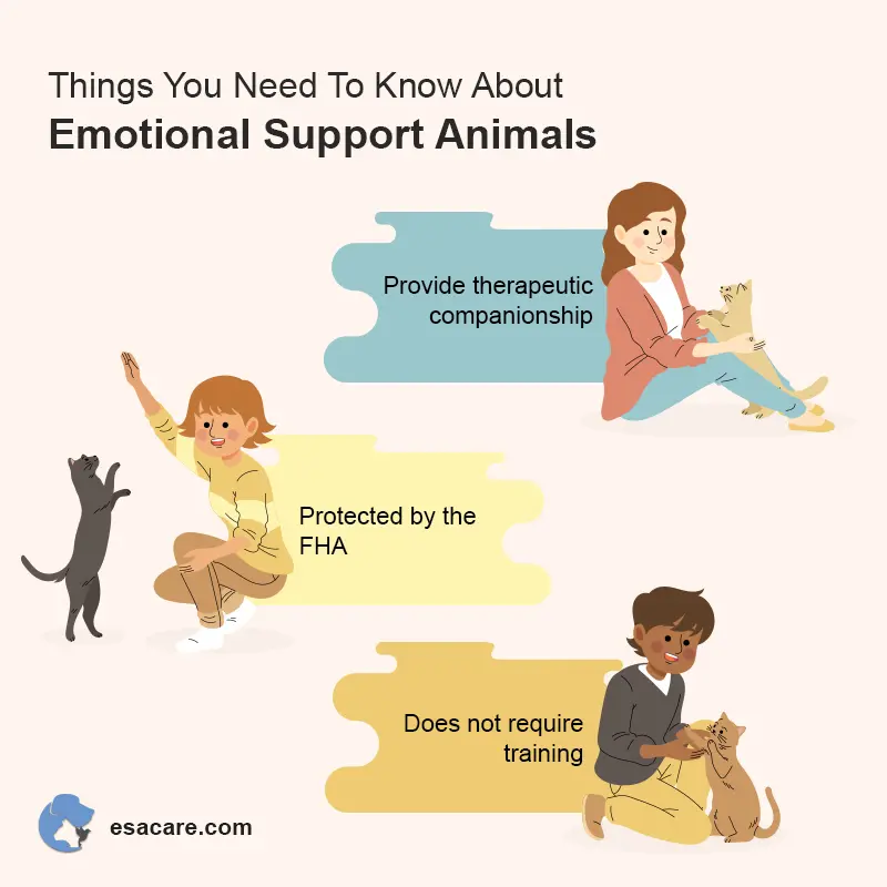 Emotional Support Animals - Temu