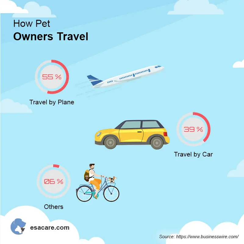 Jetblue shop pet transport