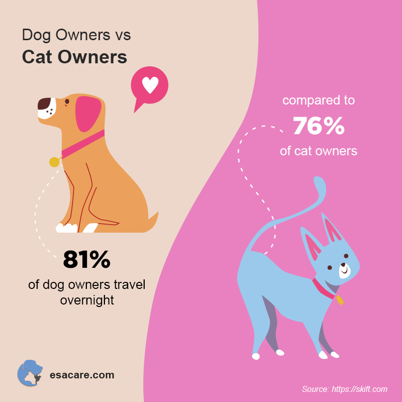Best Emotional Support Dog Breeds For Anxiety And Depression Find Your 