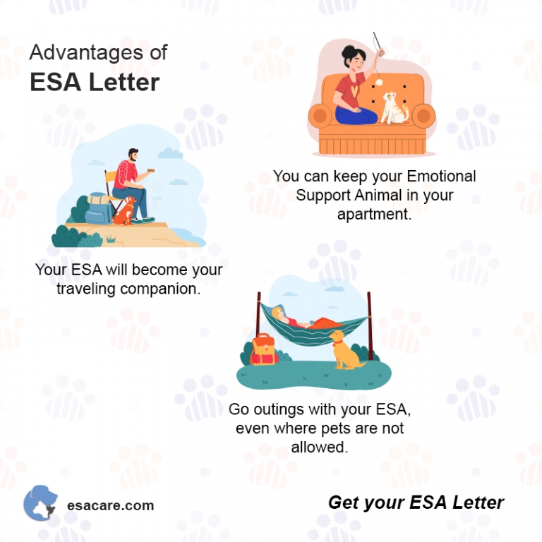 Hotel Laws About ESAs Insights for Every ESA Owner ESA Care