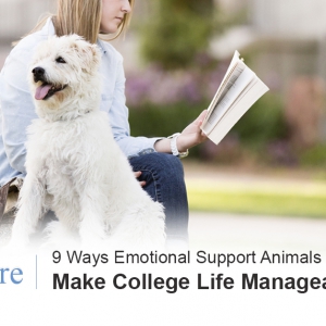 Emotional Support Animal Travel Letter Overview - ESA Care